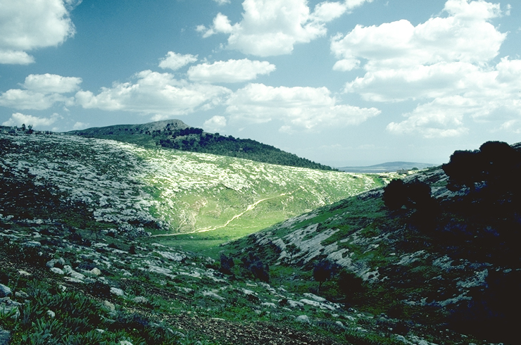 Nazareth pathway